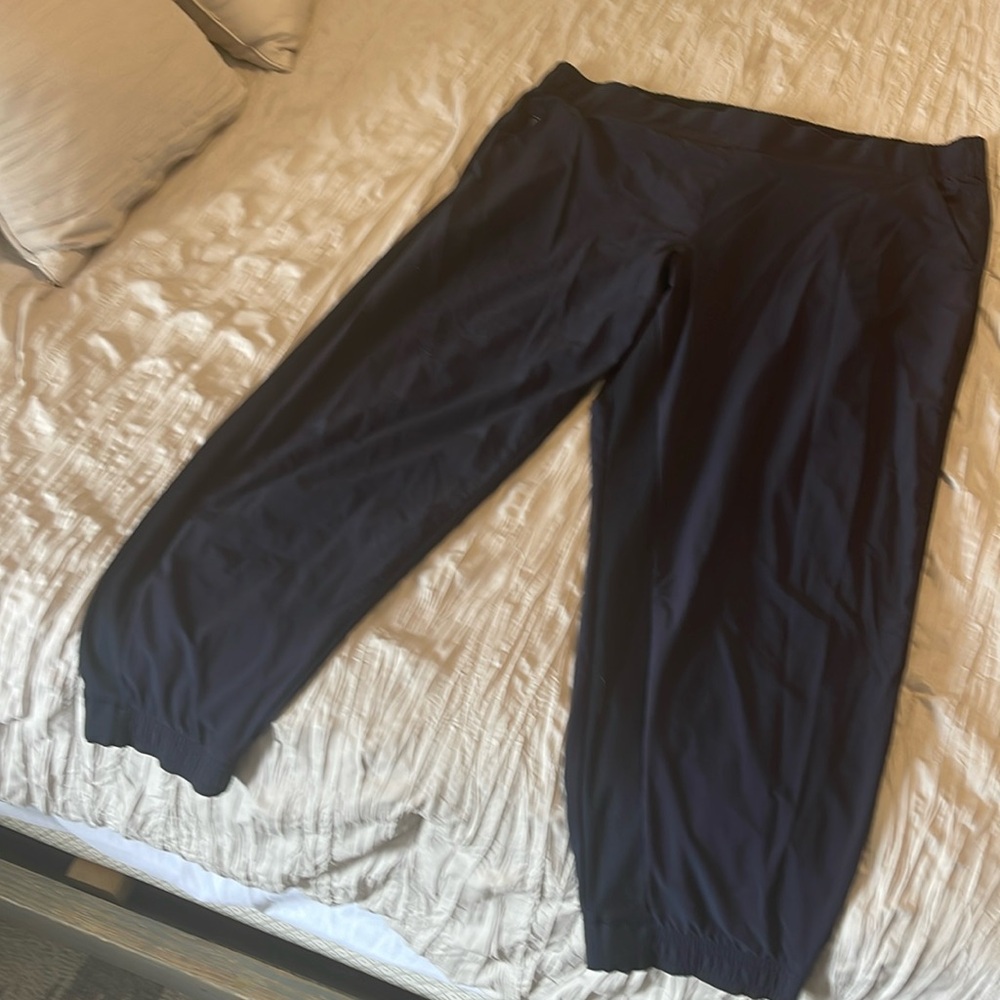 Women’s Athleta Brooklyn Ankle Pants Navy Blue Size 20